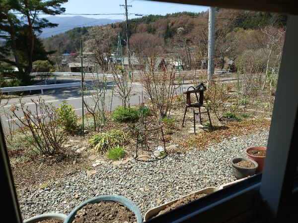 テーブル席の脇の窓からは小さな庭が楽しめる